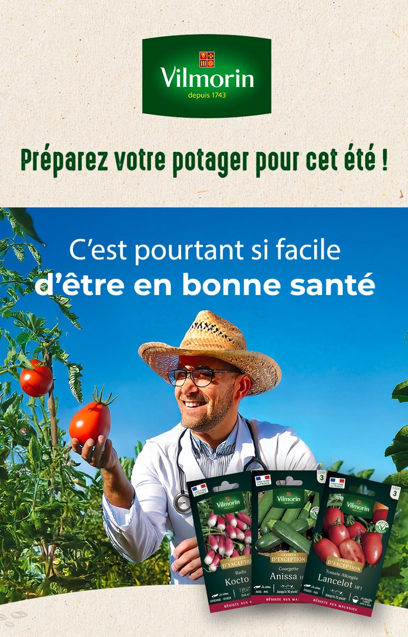  Préparez votre potager pour cet été !